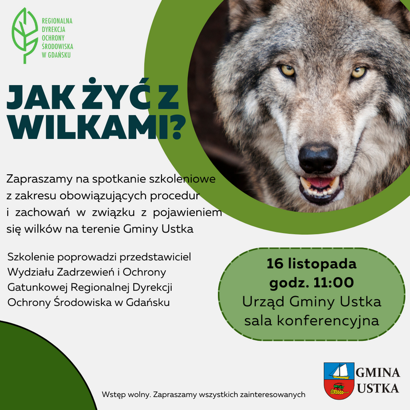 wilki_spotkanie
